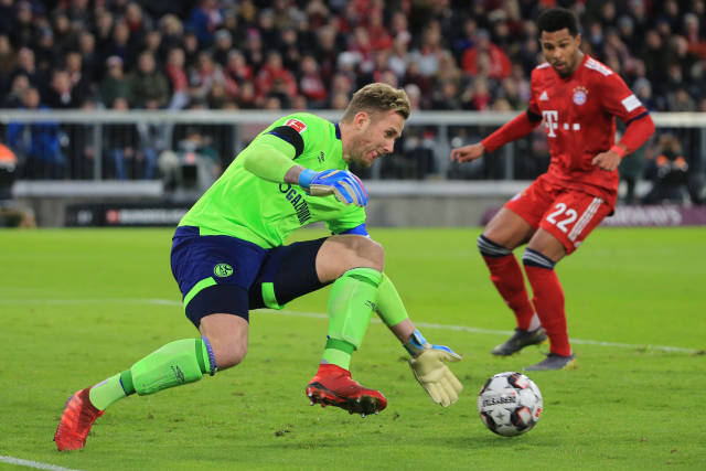 马来西亚羽 马来西亚羽